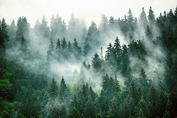 安福武功山10月17号至二十号天气预报